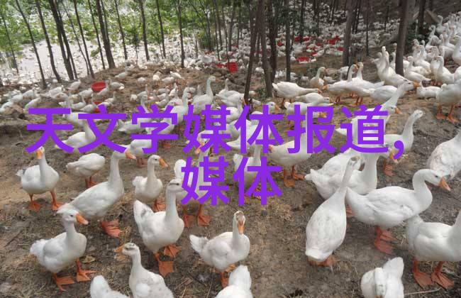 新华社科学家发现地幔混合对流重要证据