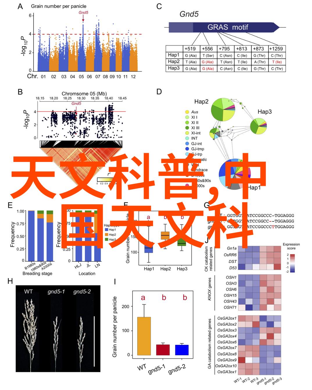 合成生物学有什么用破译疾病之谜加速治疗创新